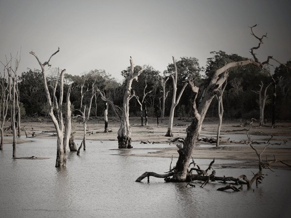 New super-fast flood model has potential to save lives