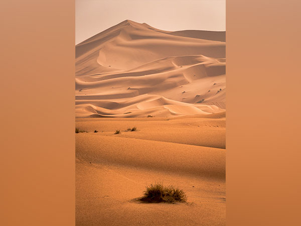 Researchers Unlock Mystery of Green Sahara