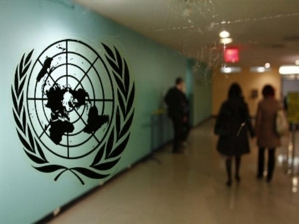 New UN survey underlines need for inclusive policies,