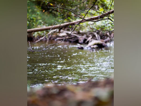 Microplastic sources and hidden sinks can be found in rivers