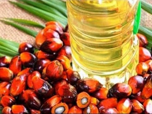 Godrej agrovet to invest rs 300 cr in telangana palm oil unit