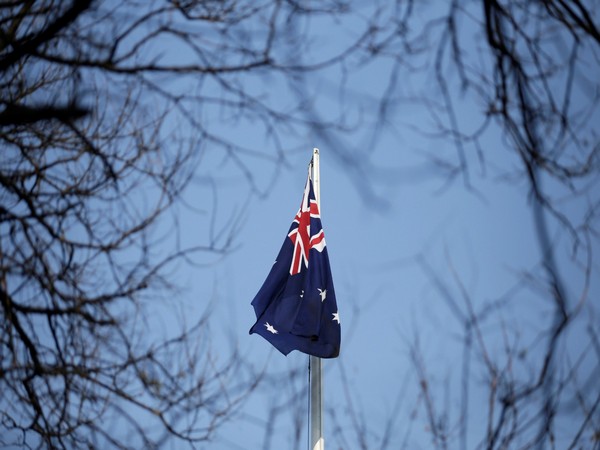 Australia likely to have world’s tallest wooden tower