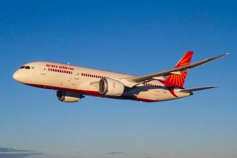 Bat detected in Air India flight mid-air; returned to Delhi