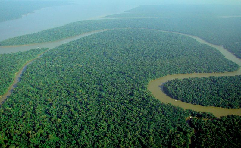 Ecuador calls for greater int’l cooperation to protect Amazon rainforest