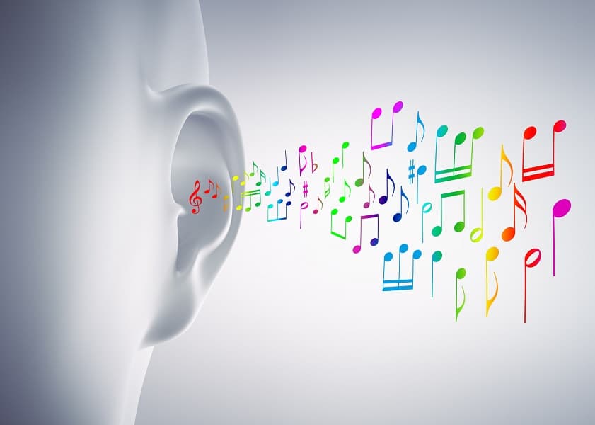 How cells with an ear for music release insulin