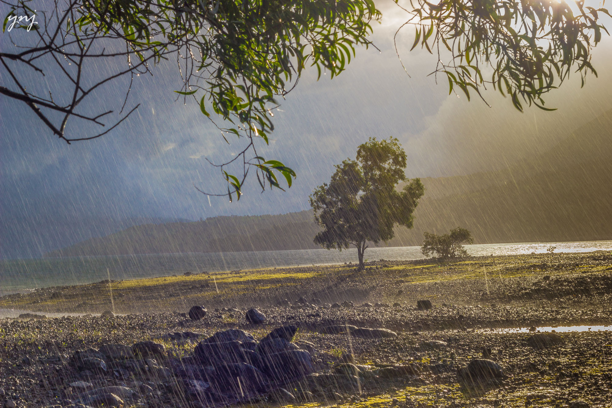 Monsoon enters the country since Wednesday