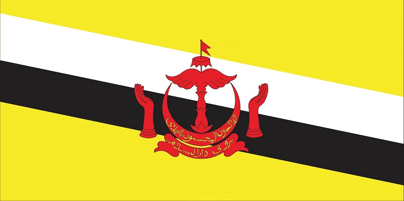 Brunei imposes int’l travel ban on 4 more countries