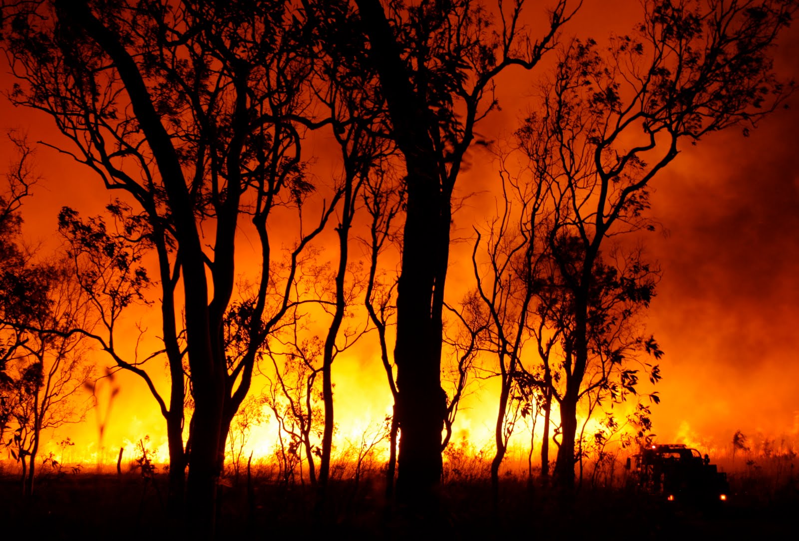 Large parts of Australia to face higher bushfire risks in spring