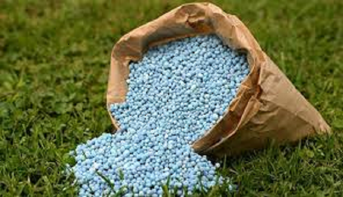 Govt advances preliminary process to establish chemical fertilizer company