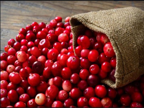 Consuming cranberries enhances memory, curbs bad cholesterol