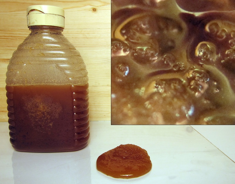 Man arrested for feeding inedible honey for the past seven years