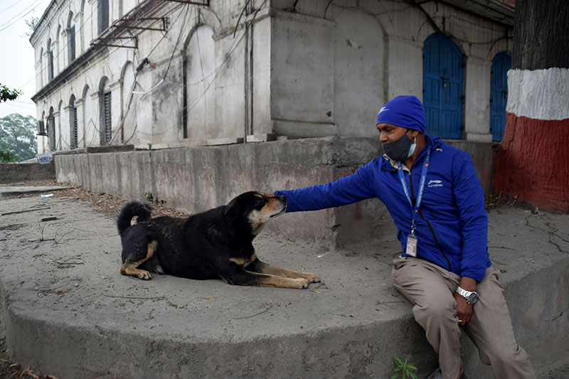 Man on a mission: Caring for the stray dogs