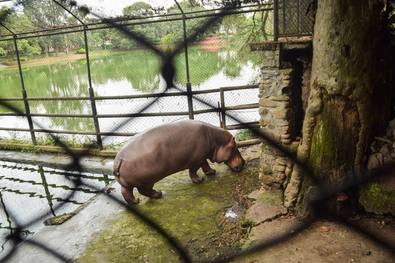 Glimpses of animals at Central Zoo