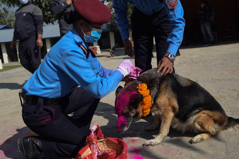 Glimpses of Police dogs being worshipped