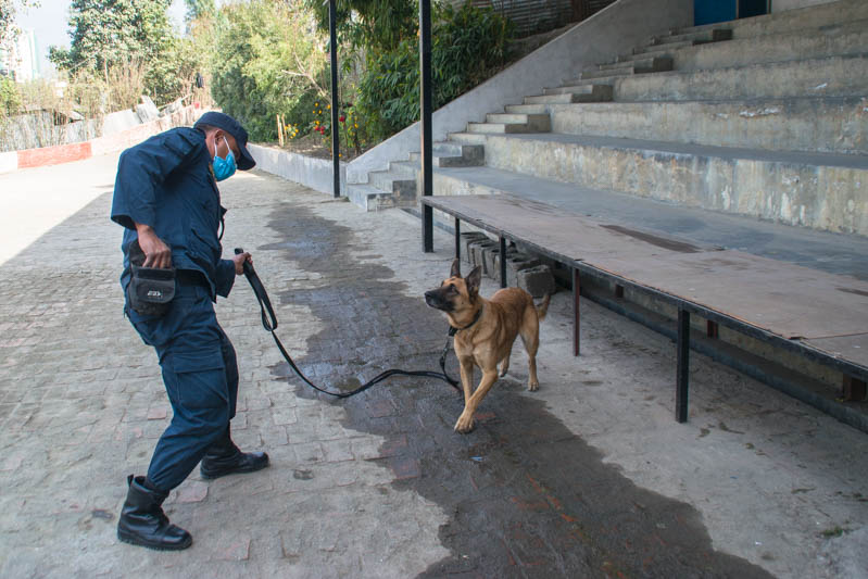 Dog training at Nepal Police Canine Operation Division