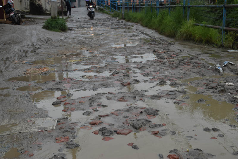 Locals plant rice on muddy road in protest