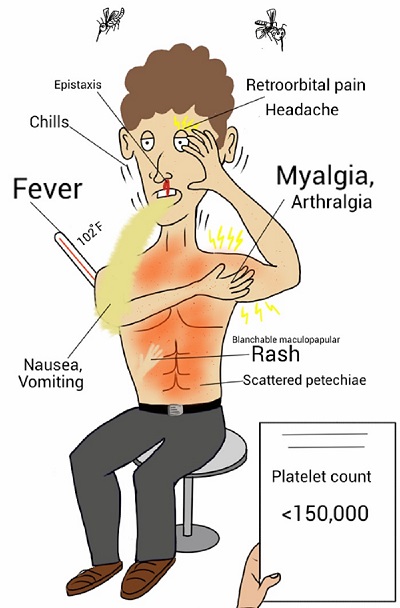 Bheri hospital records a sharp rise of dengue cases