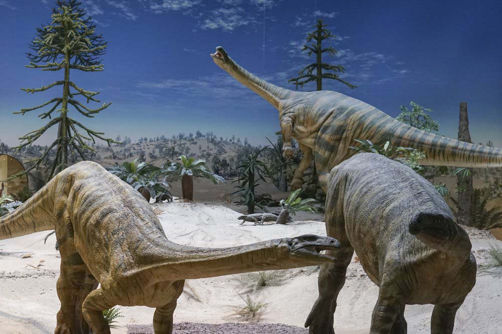 Some dinosaur migration was delayed by climate, study shows