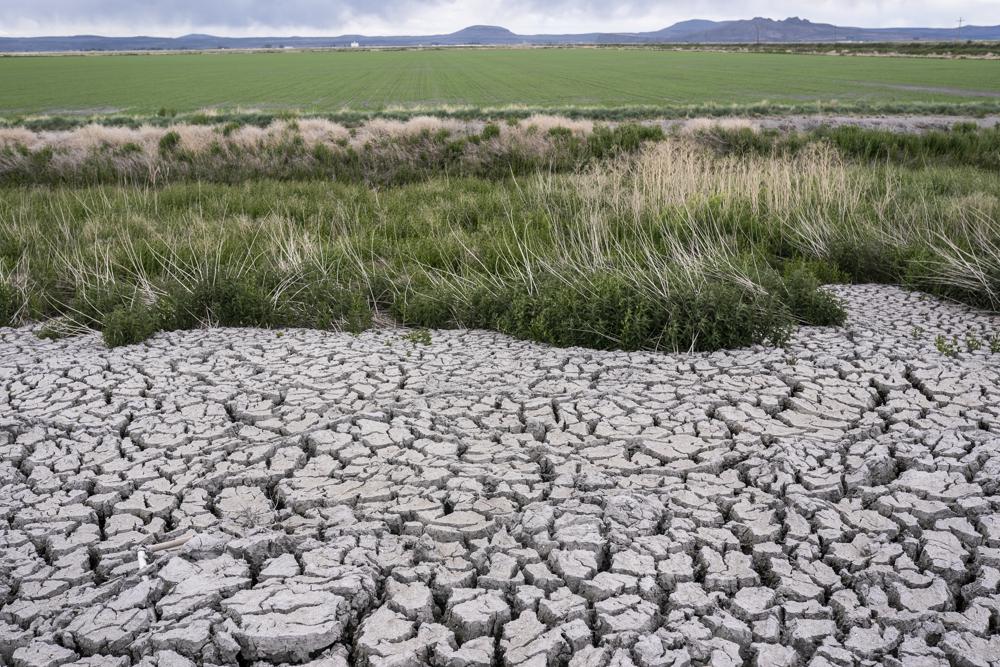 France loses up to 35 per cent of vegetable crops due to drought