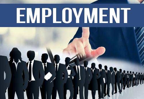 MPs call for employment generation in the country