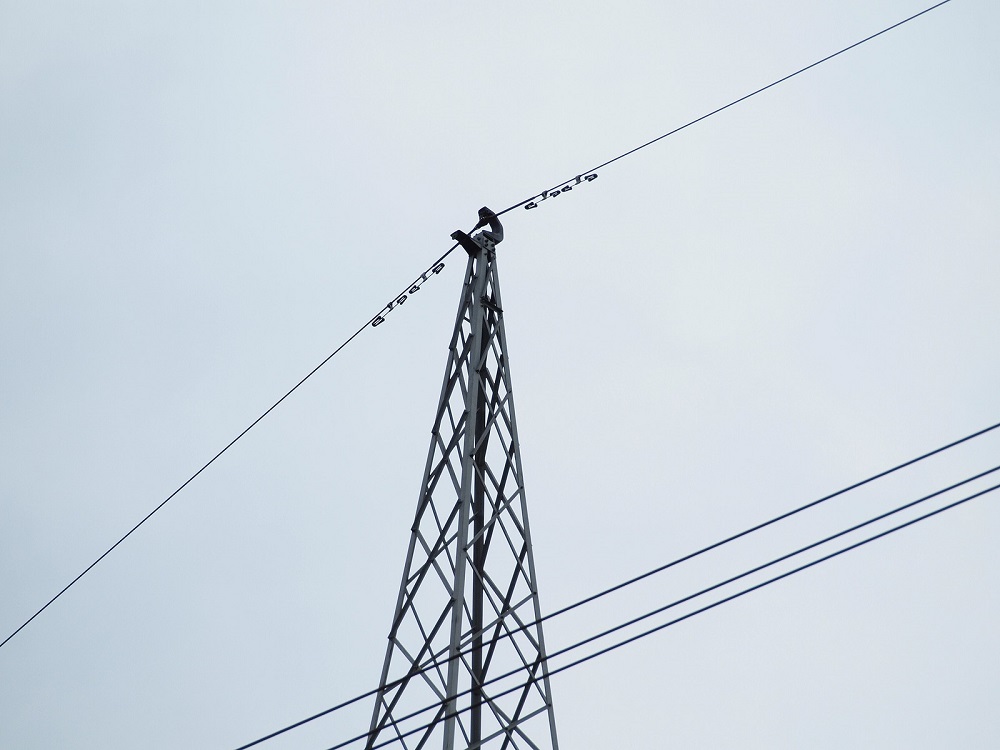 Earthing towers to save lives from lightning