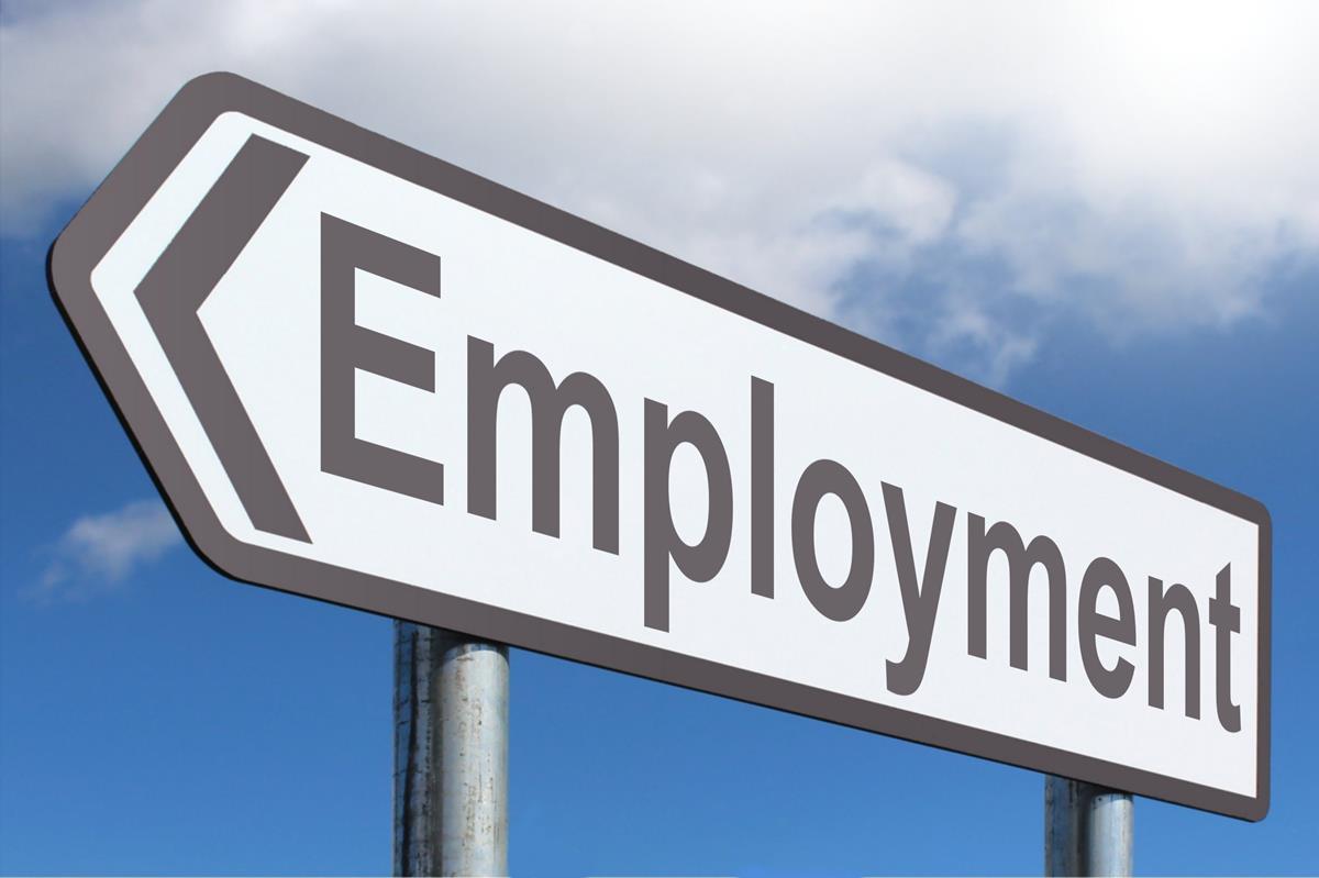 Self-Employment Fund to create 95k employment