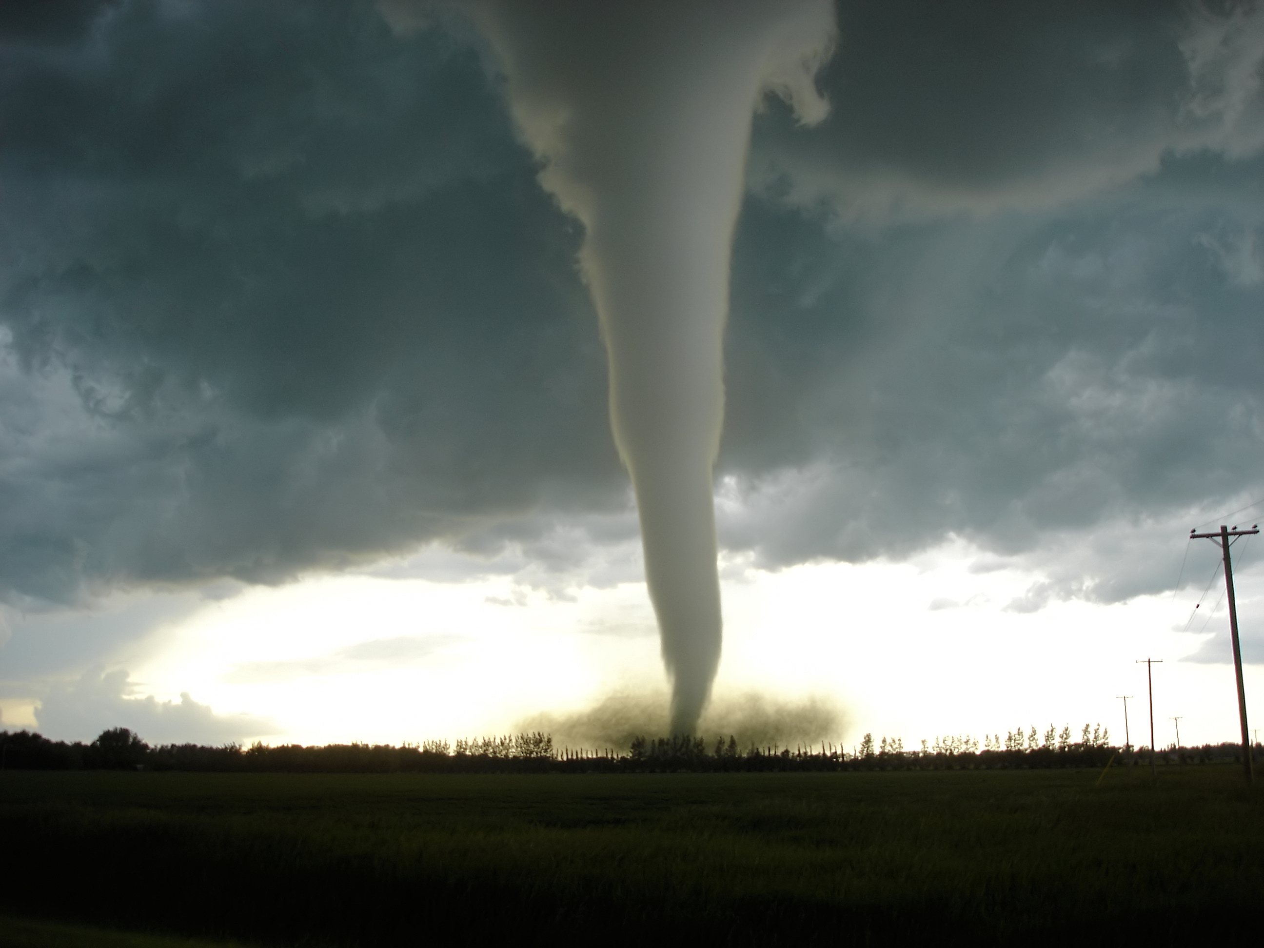 2 babies survive tornado