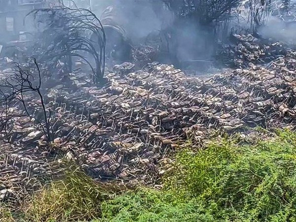 Fire in Karachi’s impoundment lot torches hundreds of vehicles