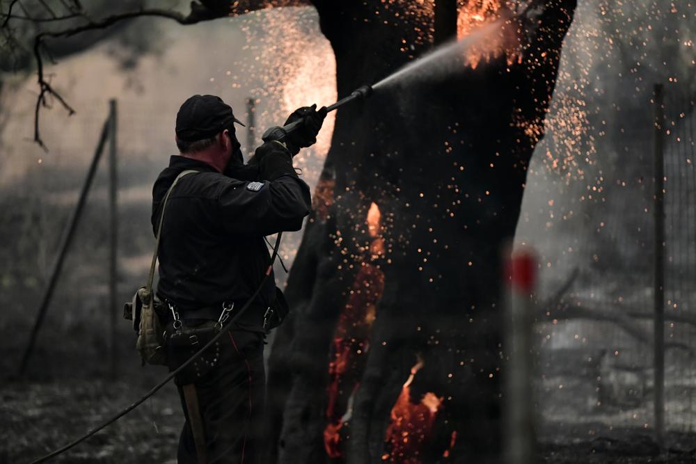 Massive forest fire ravages Greek island