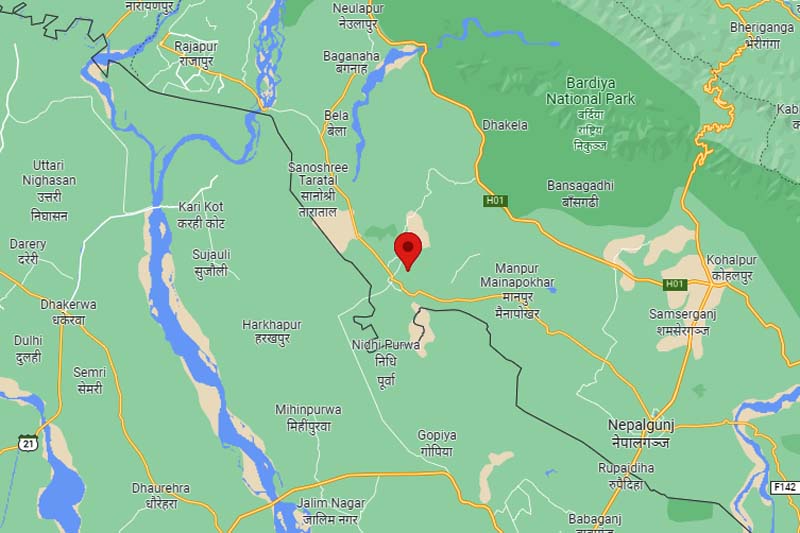 Leopard kills 23 goats in Bardiya’s human settlement