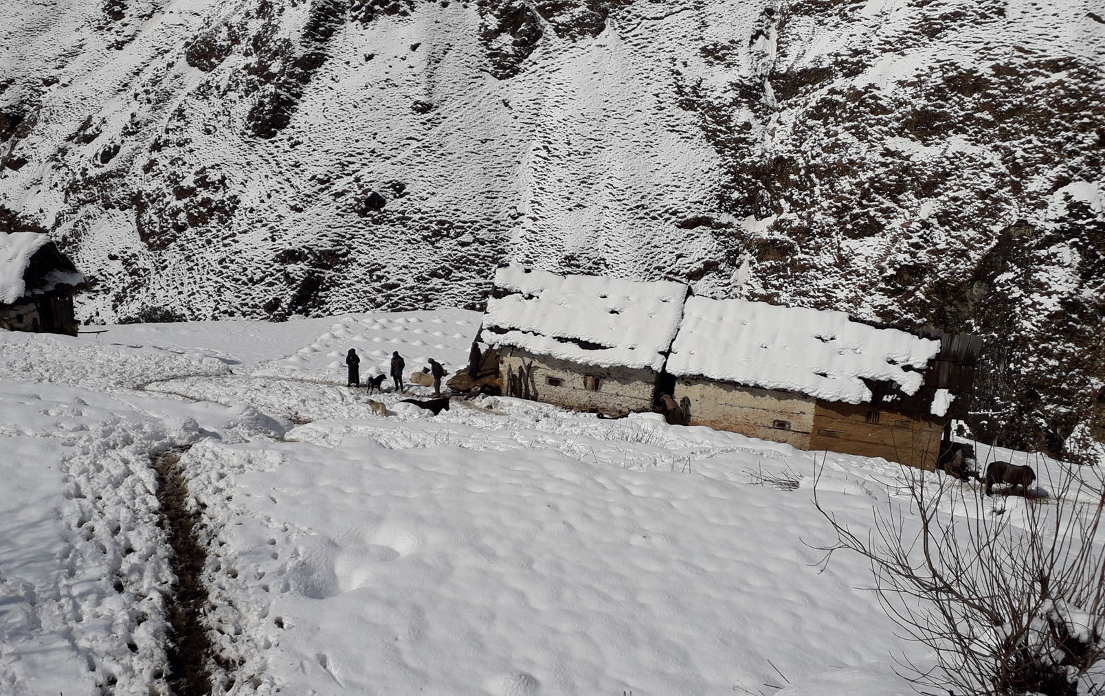 Snowfall affects people’s life, delights farmers in Bajura