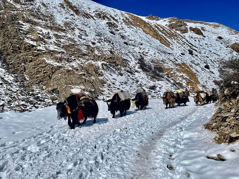 In pictures: Places of Nepal after snowfall