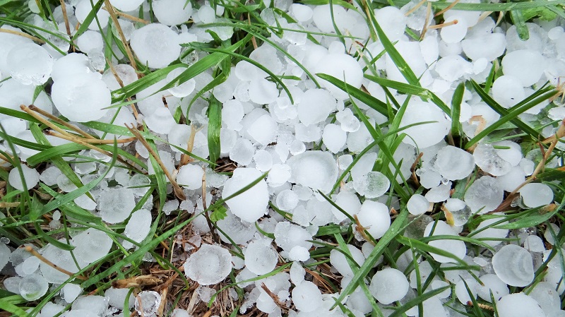 Hailstorm destroys winter crops in Doti