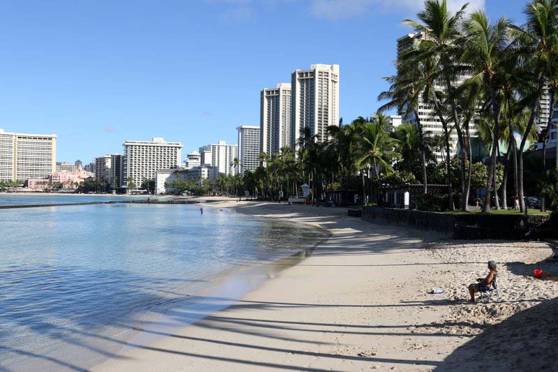 Tourists fined $500 for touching Hawaiian monk seals