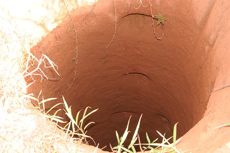 Brothers drown into a pit dug