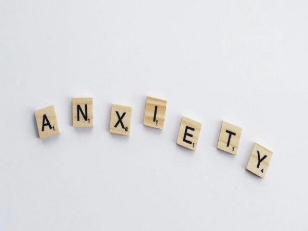 Study finds anxiety cues in brain despite safe environment