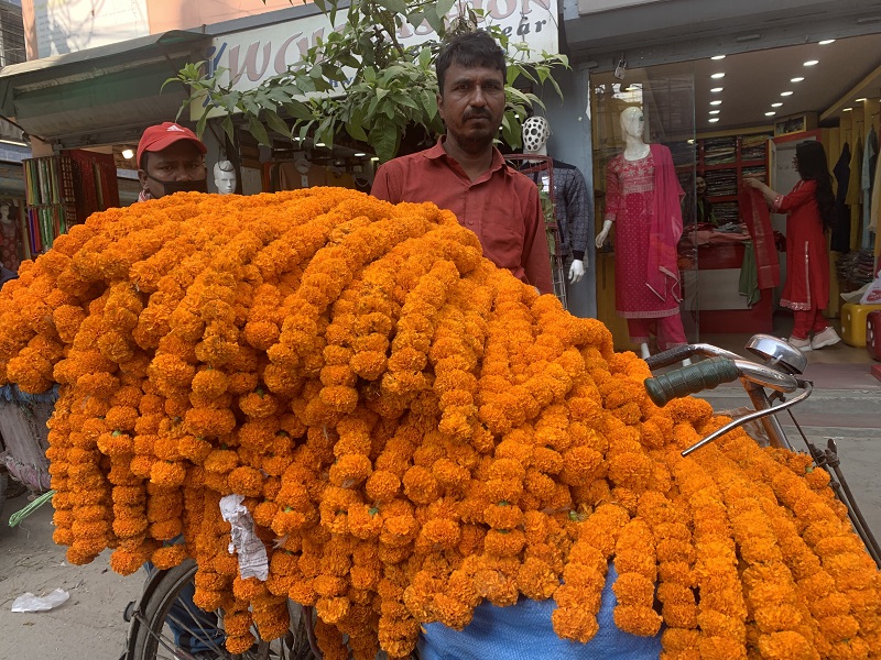 Unseasonal rainfall causes flower shortage this Tihar