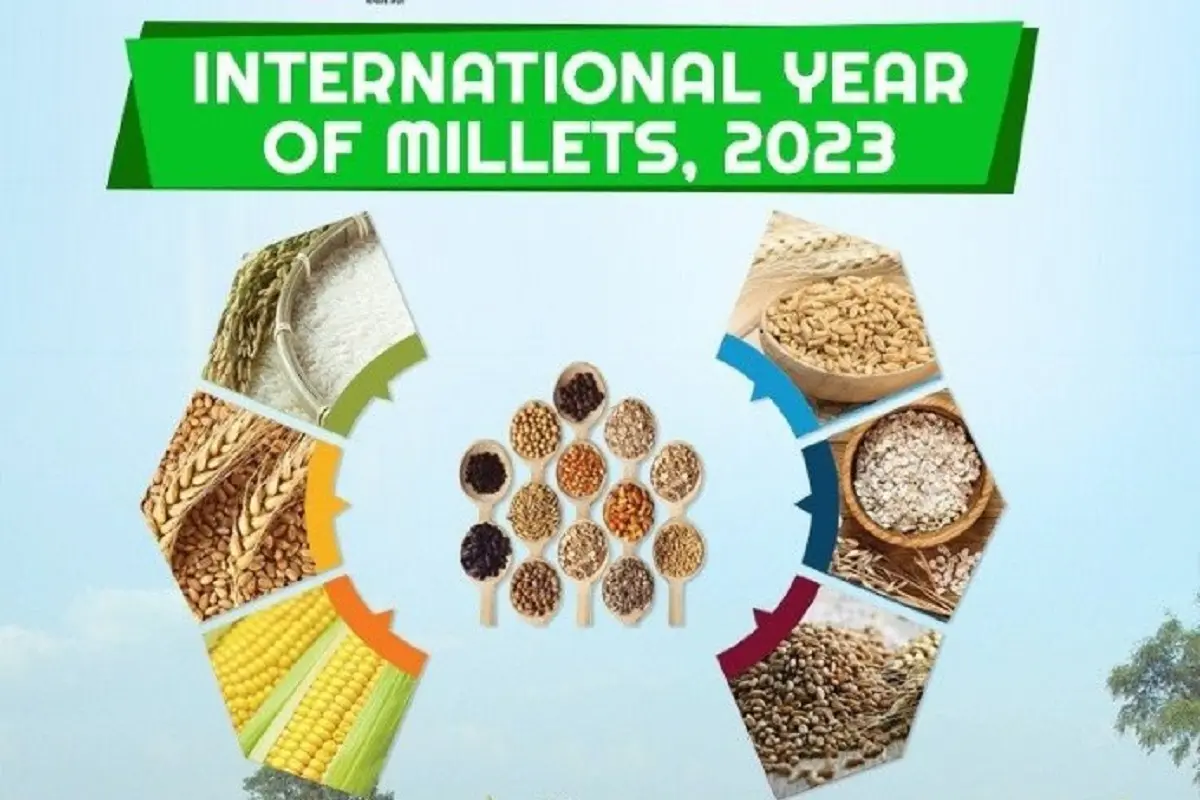 International Year of Millets: An opportunity to promote a healthy diet