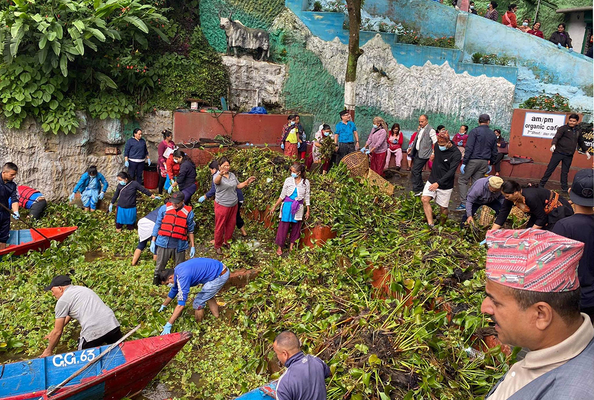 Pokhara Municipality cleans Fewa Lake from Tuesday