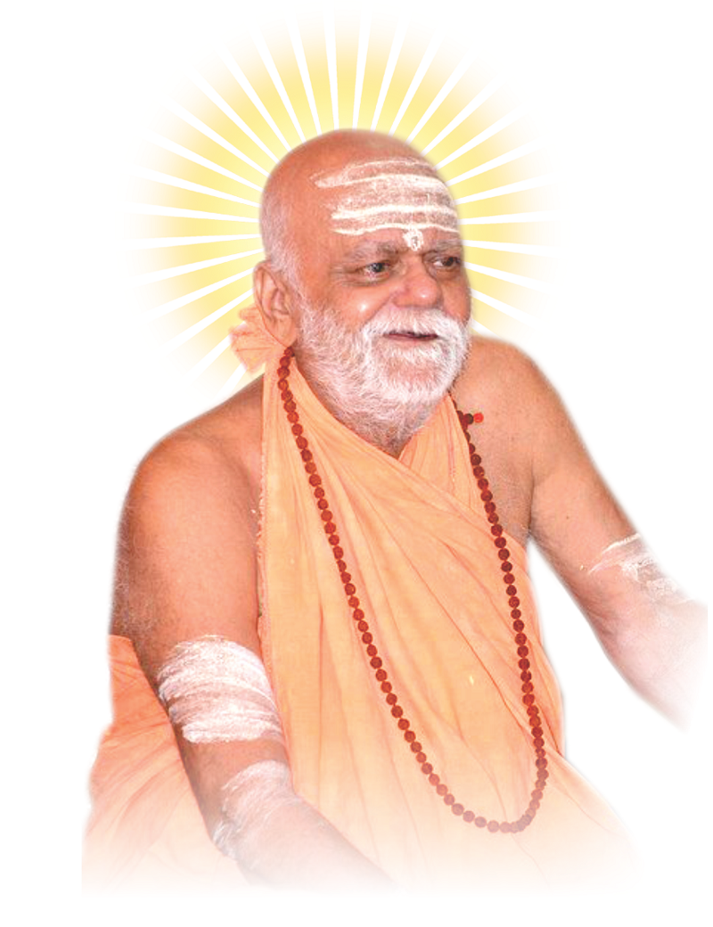 Nischalananda Saraswati inaugurates Adya Shankaracharya Temple