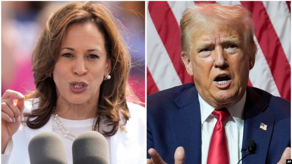 US Elections: Harris and Trump vie for presidency