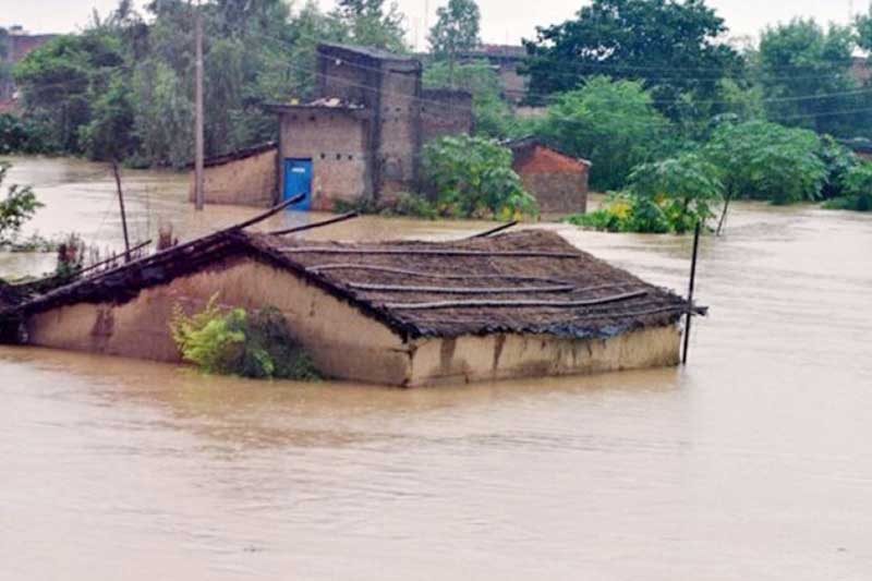 Over three dozen houses inundated in Kanchanpur