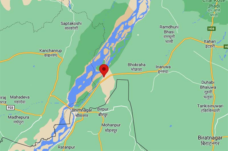 Man killed in elephant attack in Sunsari