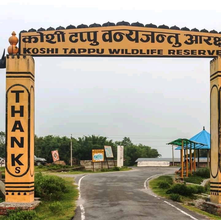 Koshi Tappu Wildlife Reserve collects Rs 4 million in revenue