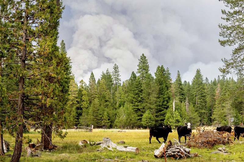 July was hottest month on record: NOAA