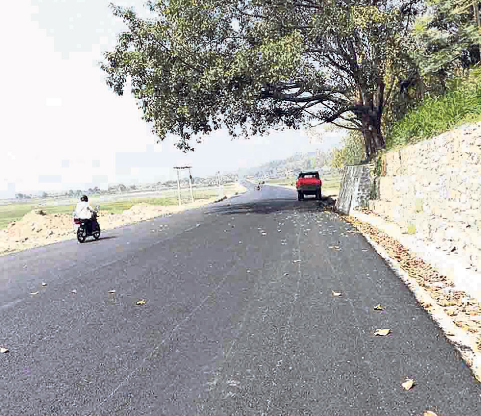 Katari-Gaighat section of Madan Bhandari Highway disrupted