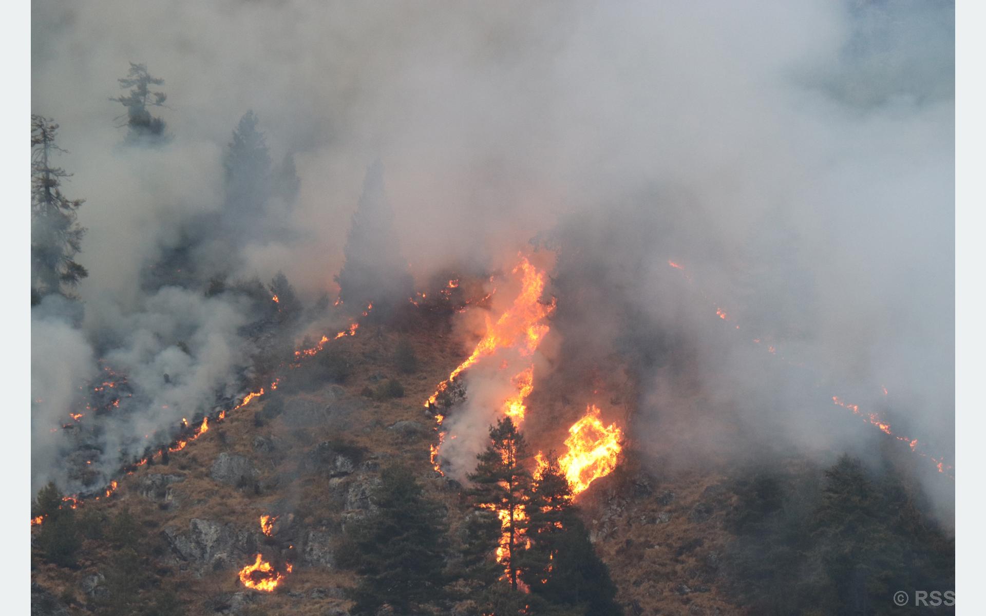 2 killed in Peru forest fire