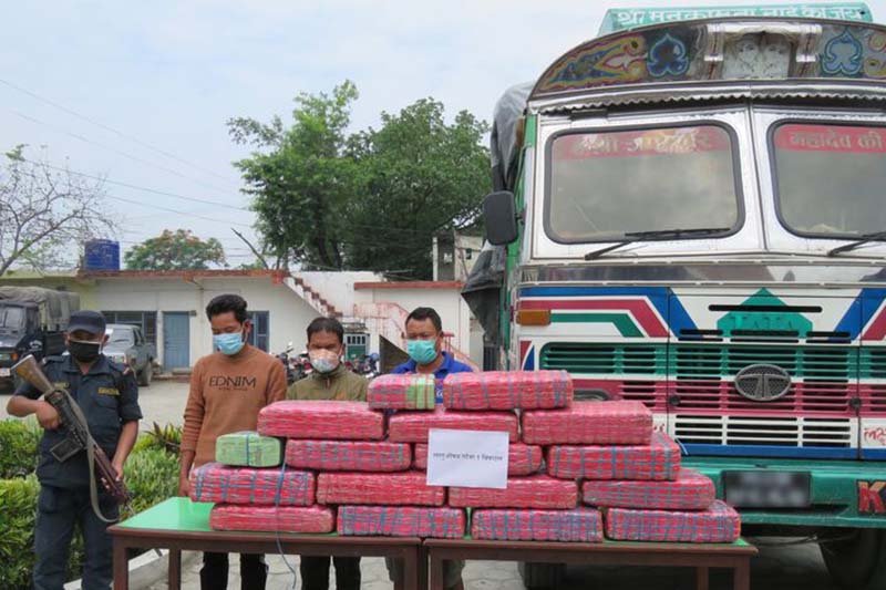 Truck driver, two others held with 100kg marijuana in Makawanpur