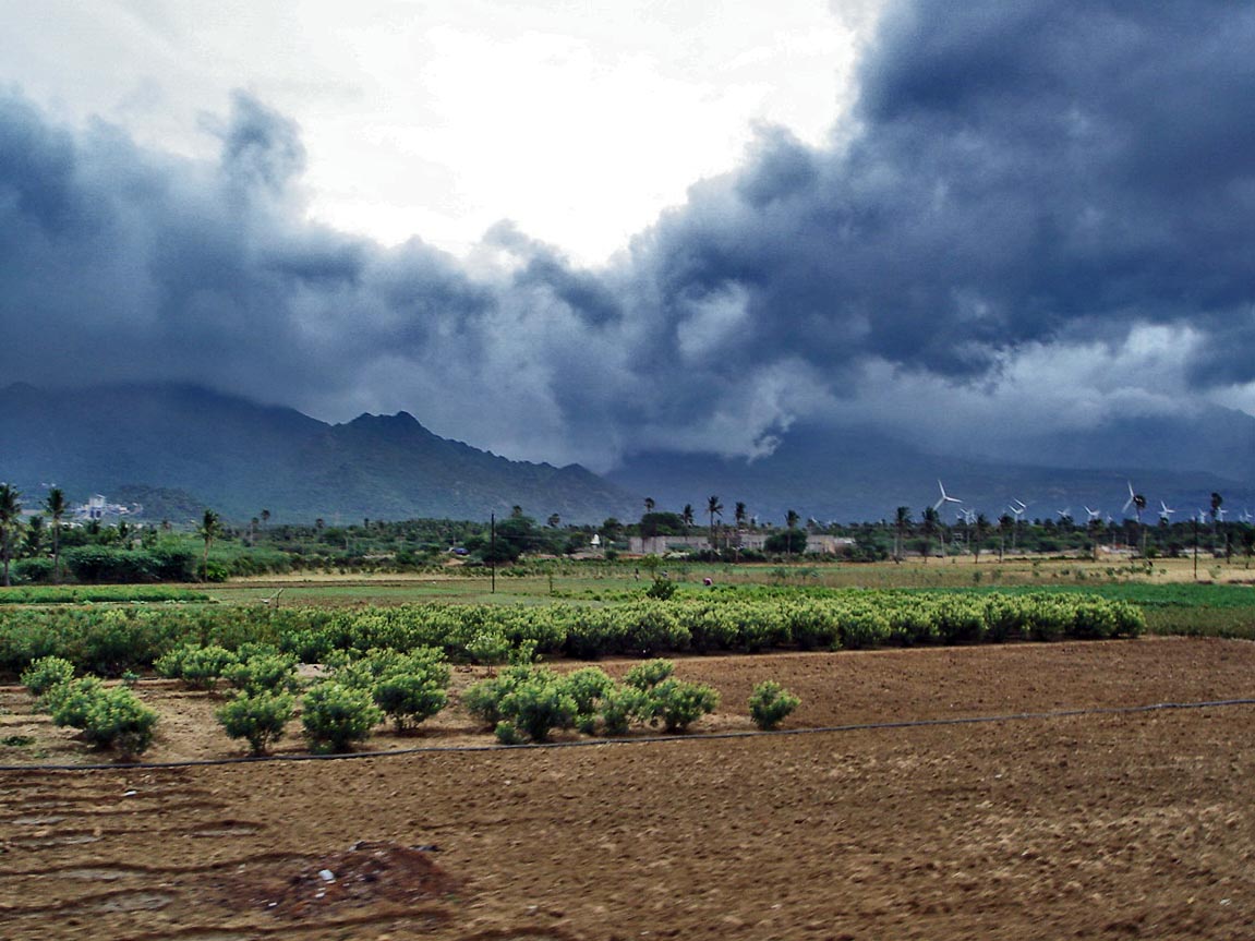 Farmers Urged to Postpone Harvesting Due to Delayed Monsoon Exit