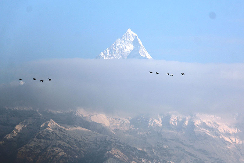 View of Mt Machhapuchchhre